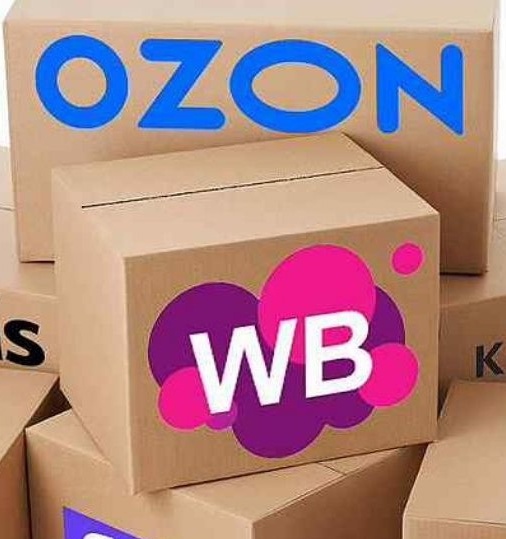 Работа с маркированными товарами на маркетплейсах OZON и Wildberries